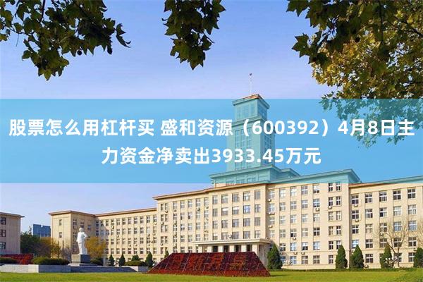 股票怎么用杠杆买 盛和资源（600392）4月8日主力资金净卖出3933.45万元