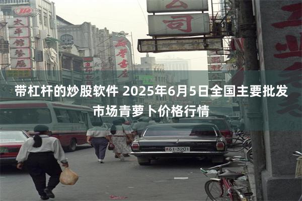 带杠杆的炒股软件 2025年6月5日全国主要批发市场青萝卜价格行情