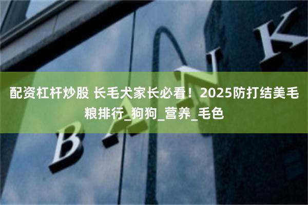 配资杠杆炒股 长毛犬家长必看！2025防打结美毛粮排行_狗狗_营养_毛色