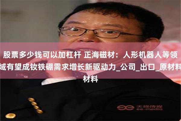 股票多少钱可以加杠杆 正海磁材：人形机器人等领域有望成钕铁硼需求增长新驱动力_公司_出口_原材料
