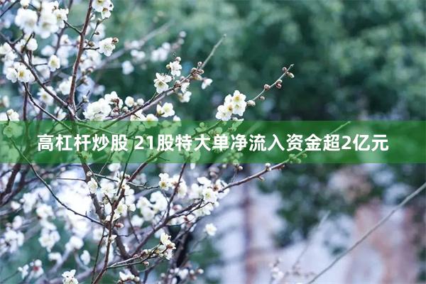 高杠杆炒股 21股特大单净流入资金超2亿元