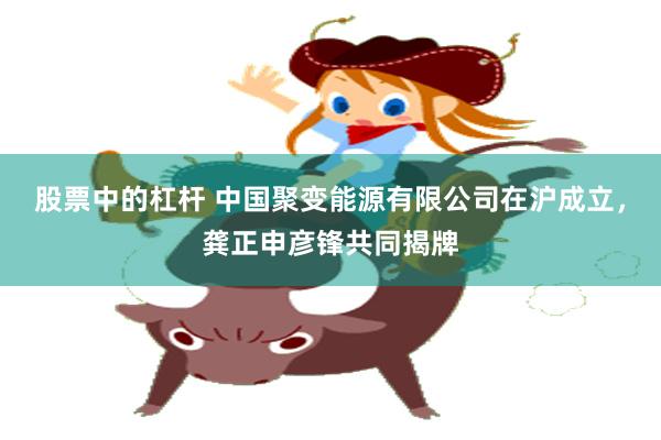 股票中的杠杆 中国聚变能源有限公司在沪成立，龚正申彦锋共同揭牌