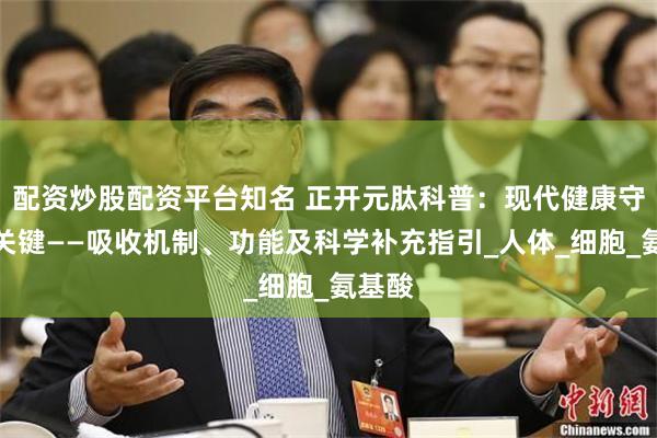 配资炒股配资平台知名 正开元肽科普：现代健康守护之关键——吸收机制、功能及科学补充指引_人体_细胞_氨基酸