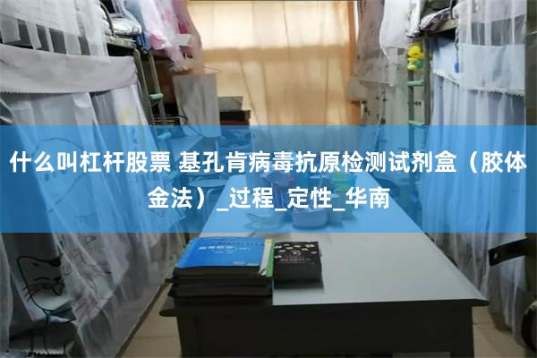 什么叫杠杆股票 基孔肯病毒抗原检测试剂盒（胶体金法）_过程_定性_华南