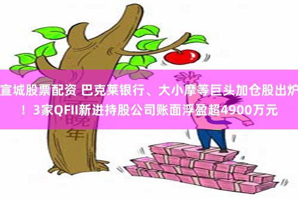 宣城股票配资 巴克莱银行、大小摩等巨头加仓股出炉！3家QFII新进持股公司账面浮盈超4900万元